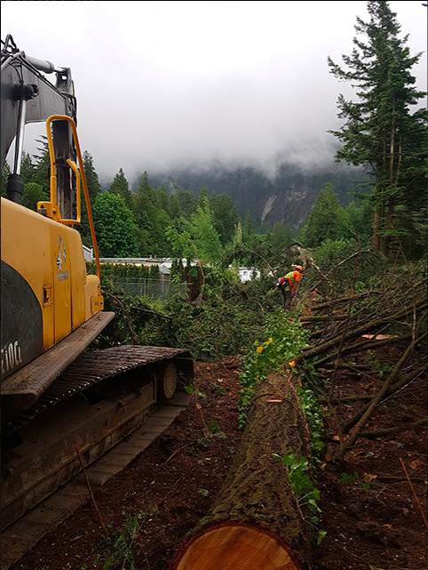 Land clearing and site preparation